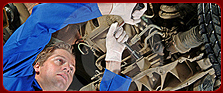 Frenchs Forest Automotive
